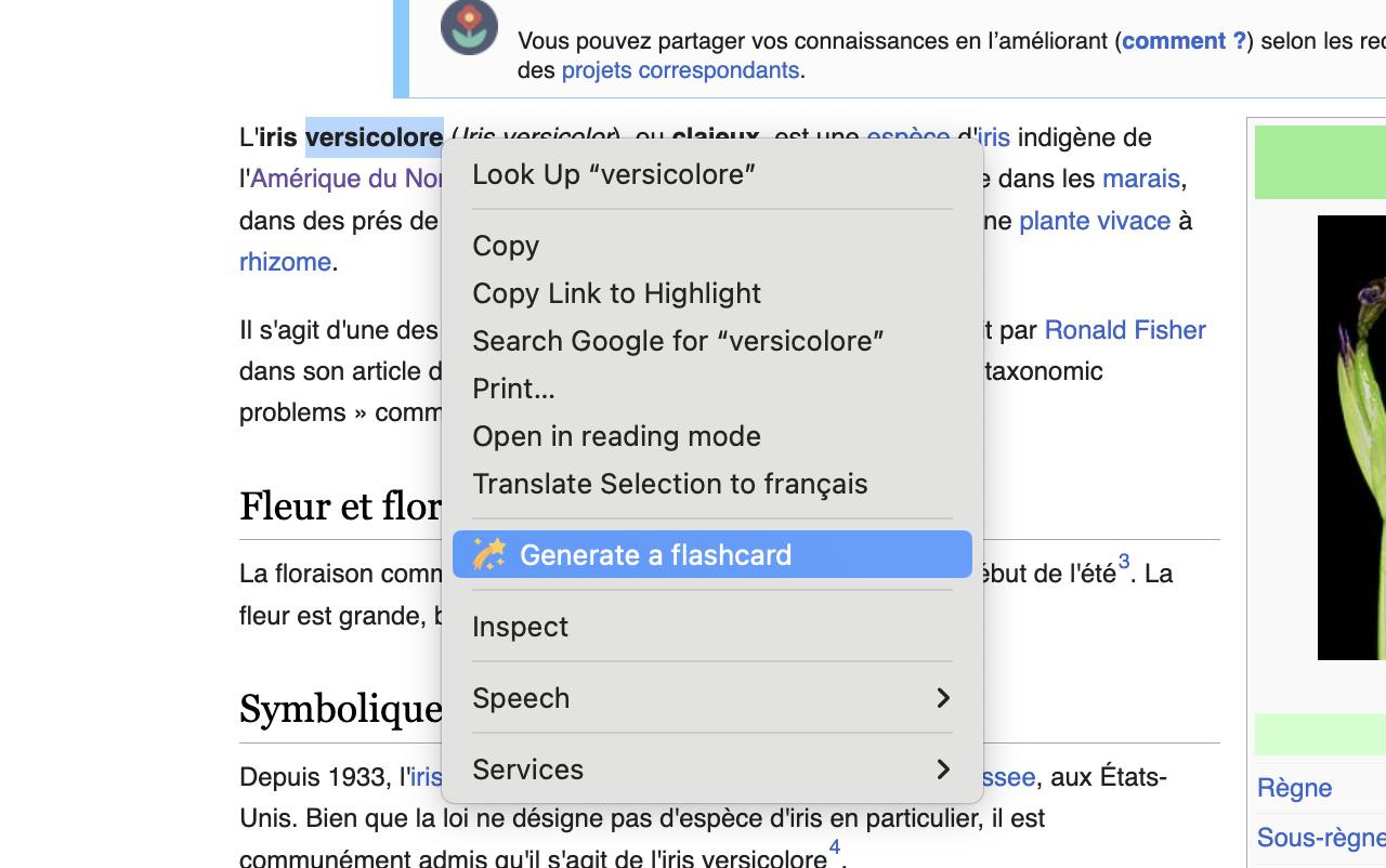 Screenshot: Selecting a word on a web page and the context menu