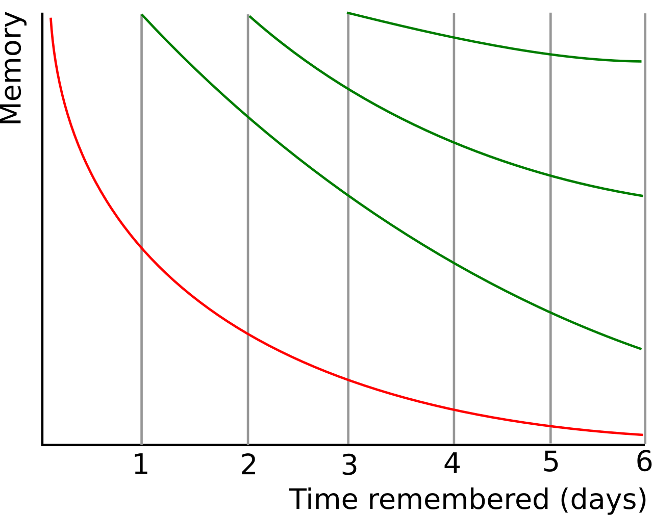 Forgetting Curve